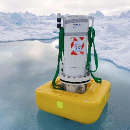 Rover in the arctic